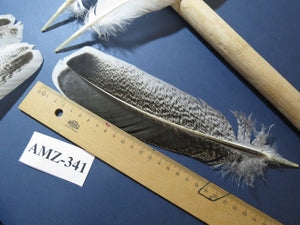 10 Pairs Turkey Wing Feathers, Amazing Feathers, Turkey Feathers,Fly Tying Material,Craft Feathers,Natural Feathers(AMZ-341)