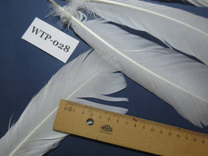 4 PairS Of White Turkey Tail Feathers,Turkey Feathers,Fly Tying Material,Craft Feathers,Natural Feathers(WTP-028) DREAMMYFEATHERS
