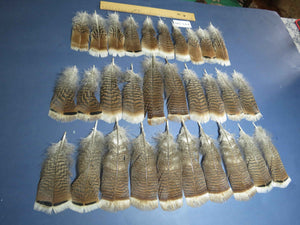 30 Pcs Natural Turkey Pre-Tail Feathers, Fly Tying Materials,Turkey Feathers (PTN-280)