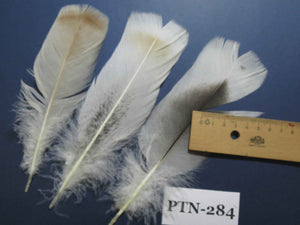 30 Pcs Natural Turkey Pre-Tail Feathers, Fly Tying Materials,Turkey Feathers (PTN-284)