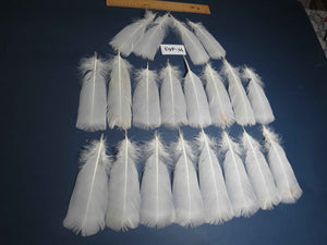 20 Pcs White Turkey Pre-Tail Feathers, Fly Tying Materials (W-463)