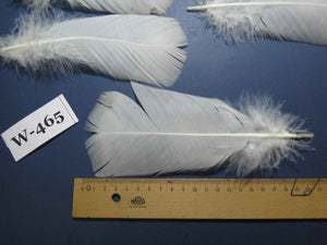 20 Pcs White Turkey Pre-Tail Feathers, Fly Tying Materials (W-465)