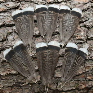 Bronze Turkey Tail Feathers (One Pair Set) ,Fly Tying Material,Craft Feathers,Natural Turkey Feathers.