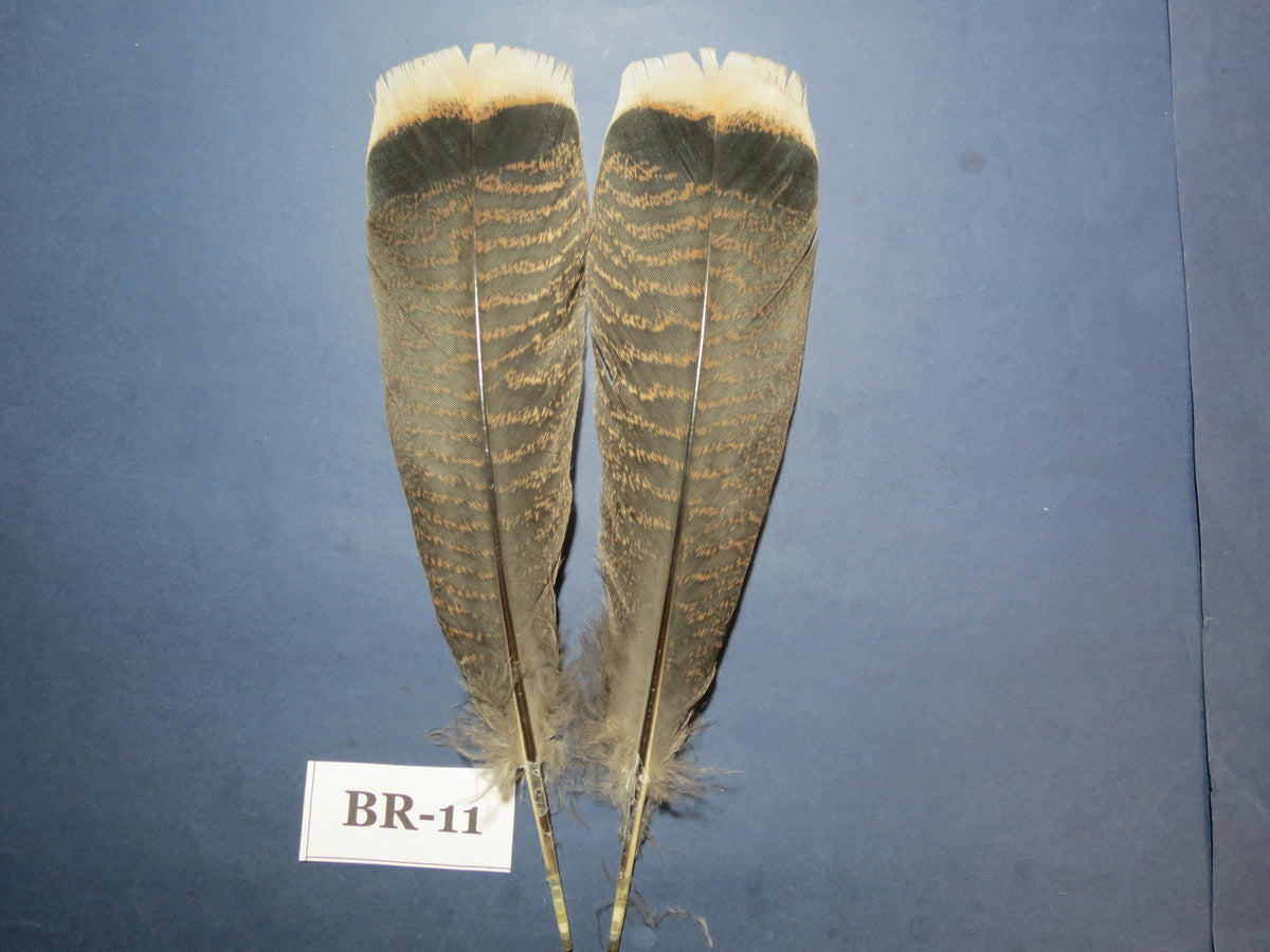 Bronze Turkey Tail Feathers  (One Pair Set) ,Fly Tying Material,Craft Feathers,Natural Turkey Feathers.