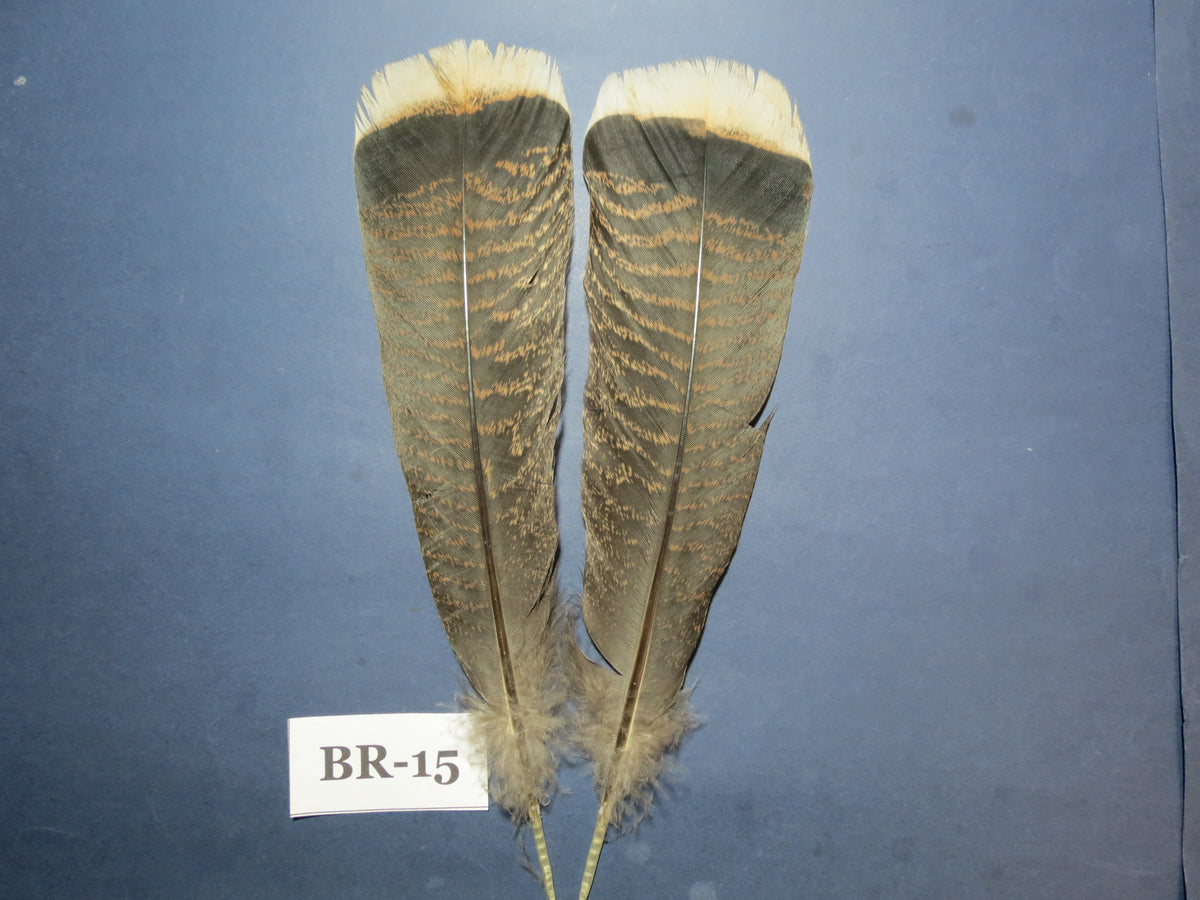 Bronze Turkey Tail Feathers  (One Pair Set) ,Fly Tying Material,Craft Feathers,Natural Turkey Feathers.