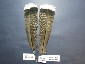 Bronze Turkey Tail Feathers  (One Pair Set) ,Fly Tying Material,Craft Feathers,Natural Turkey Feathers.