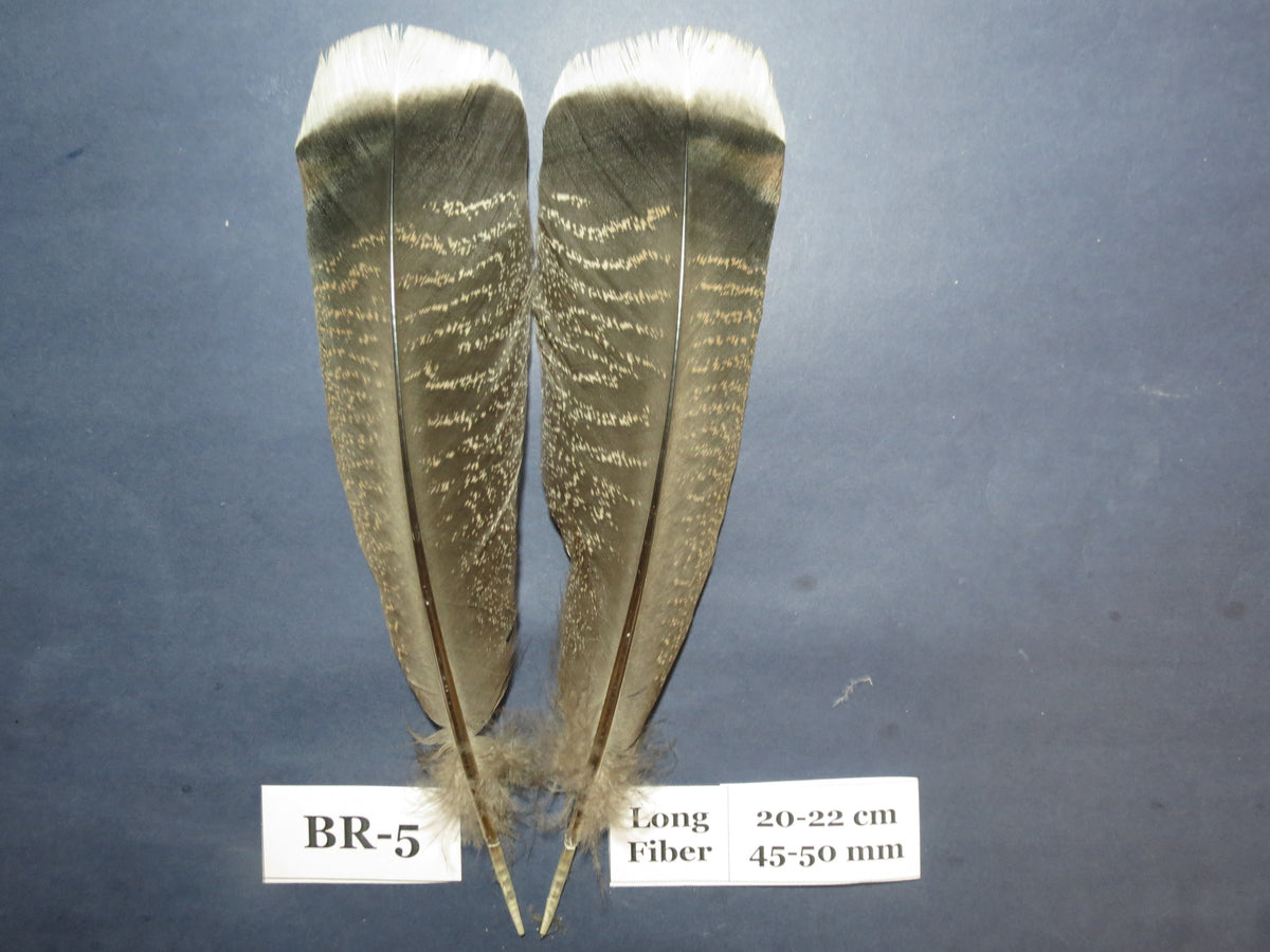 Bronze Turkey Tail Feathers  (One Pair Set) ,Fly Tying Material,Craft Feathers,Natural Turkey Feathers.