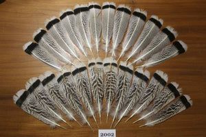 24 Pcs Natural Turkey Tail Feathers, Fly Tying Materials,Turkey Feathers. (2002)