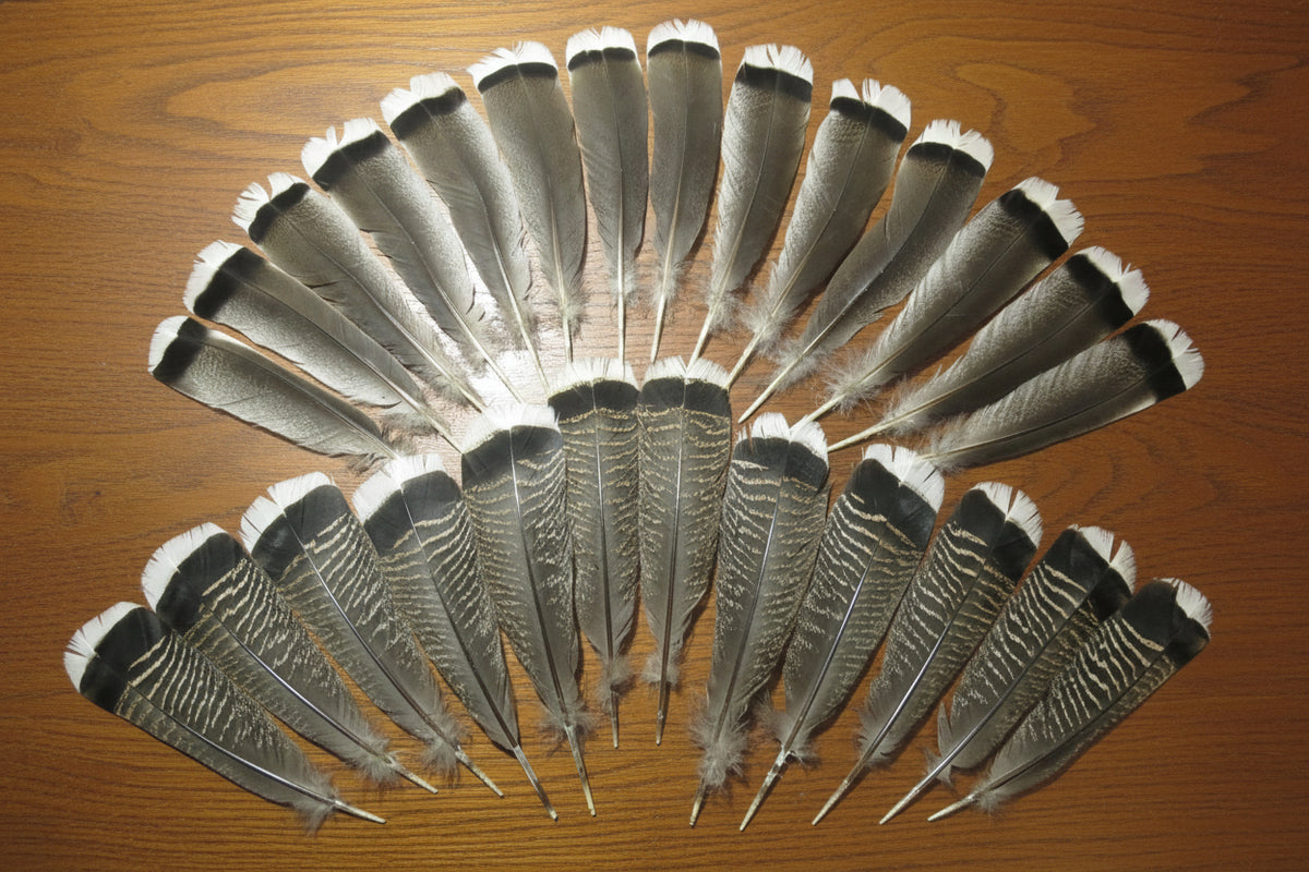26 Pcs Natural Turkey Tail Feathers, Turkey Feathers,Fly Tying Material,Craft Feathers,Natural Feathers (2004)