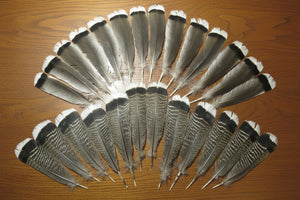 26 Pcs Natural Turkey Tail Feathers, Turkey Feathers,Fly Tying Material,Craft Feathers,Natural Feathers (2004)