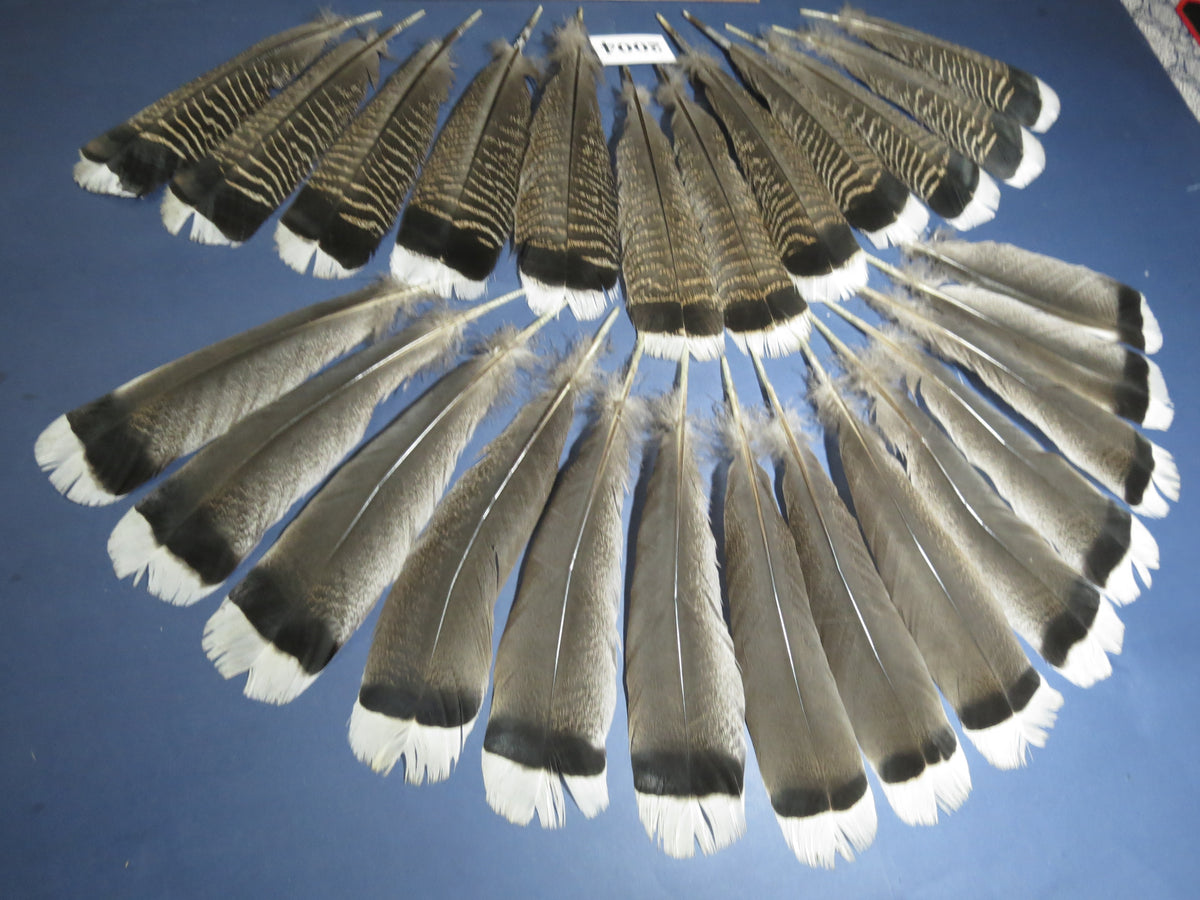 26 Pcs Natural Turkey Tail Feathers, Turkey Feathers,Fly Tying Material,Craft Feathers,Natural Feathers (2004)