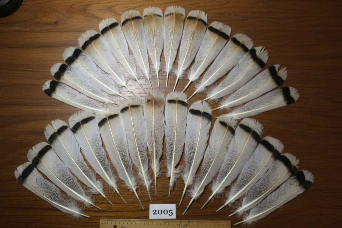 28 Pcs Natural Turkey Tail Feathers, Fly Tying Materials,Turkey Feathers. (2005)