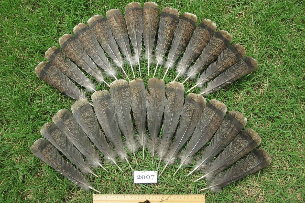 28 Pcs Natural Turkey Tail Feathers, Fly Tying Materials,Turkey Feathers. (2007)