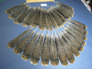 28 Pcs Natural Turkey Tail Feathers, Fly Tying Materials,Turkey Feathers. (2007)