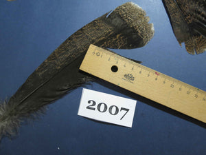 28 Pcs Natural Turkey Tail Feathers, Fly Tying Materials,Turkey Feathers. (2007)