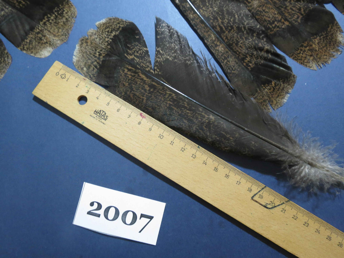 28 Pcs Natural Turkey Tail Feathers, Fly Tying Materials,Turkey Feathers. (2007)