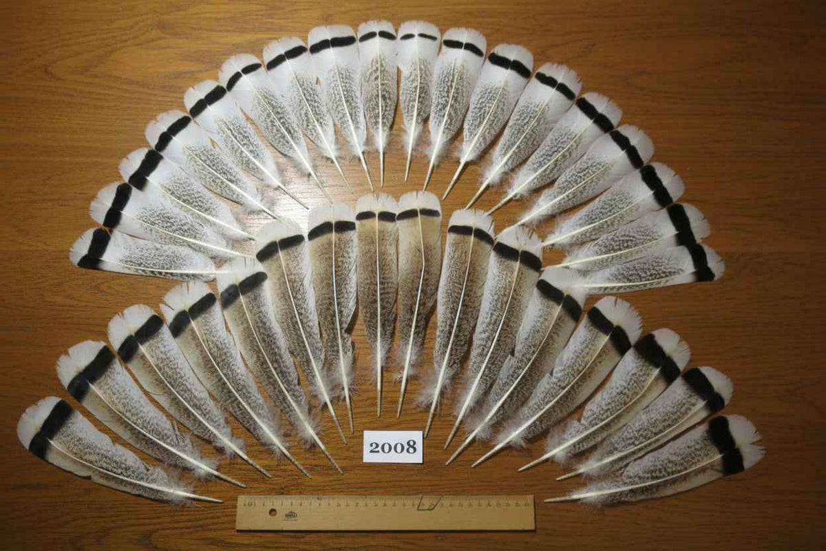 34 Pcs Natural Turkey Tail Feathers, Fly Tying Materials,Turkey Feathers. (2008)