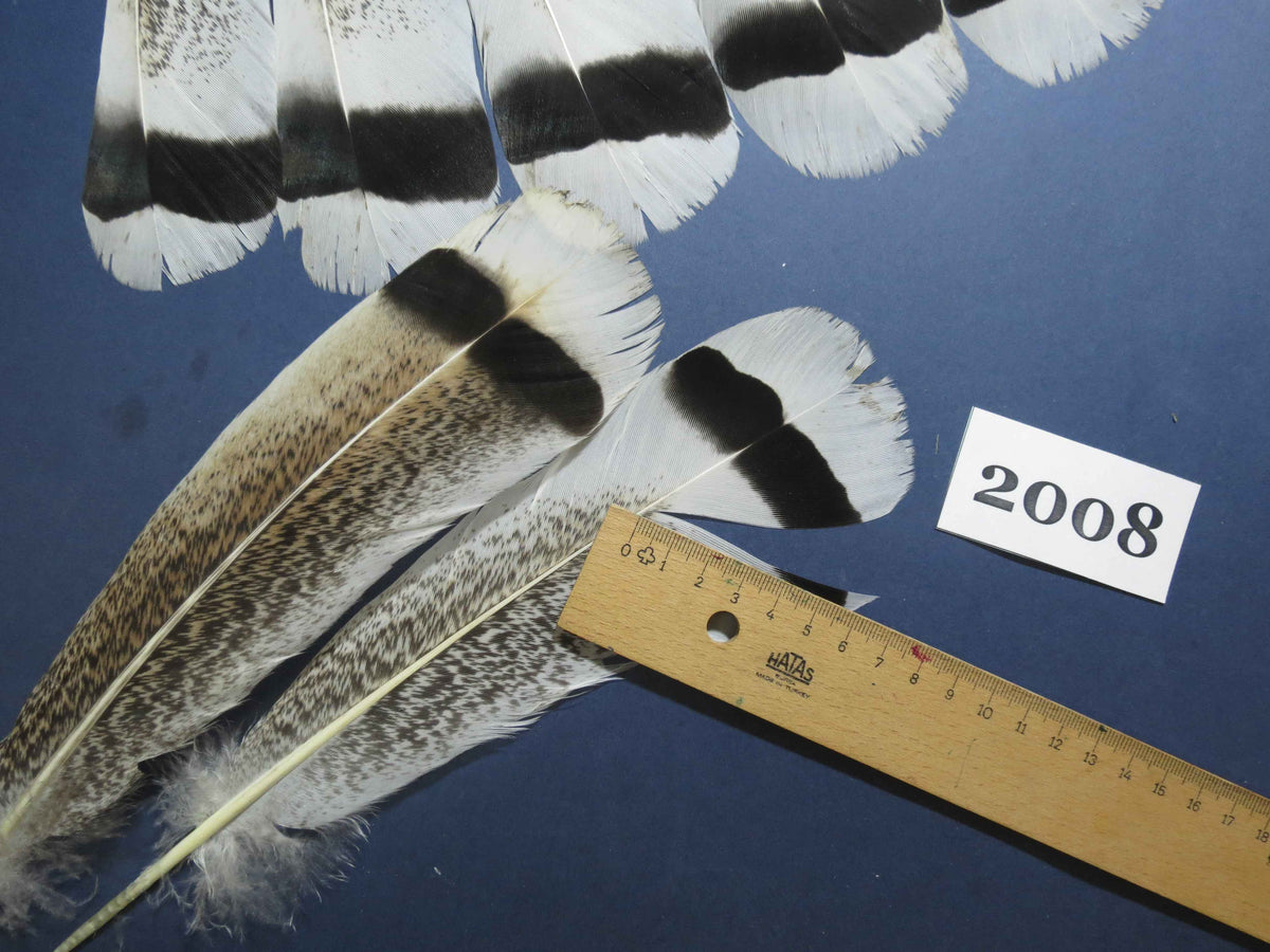 34 Pcs Natural Turkey Tail Feathers, Fly Tying Materials,Turkey Feathers. (2008)