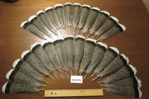 28 Pcs Natural Turkey Tail Feathers, Fly Tying Materials,Turkey Feathers. (2009)