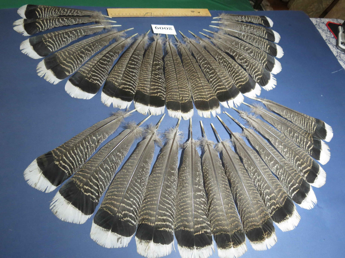 28 Pcs Natural Turkey Tail Feathers, Fly Tying Materials,Turkey Feathers. (2009)