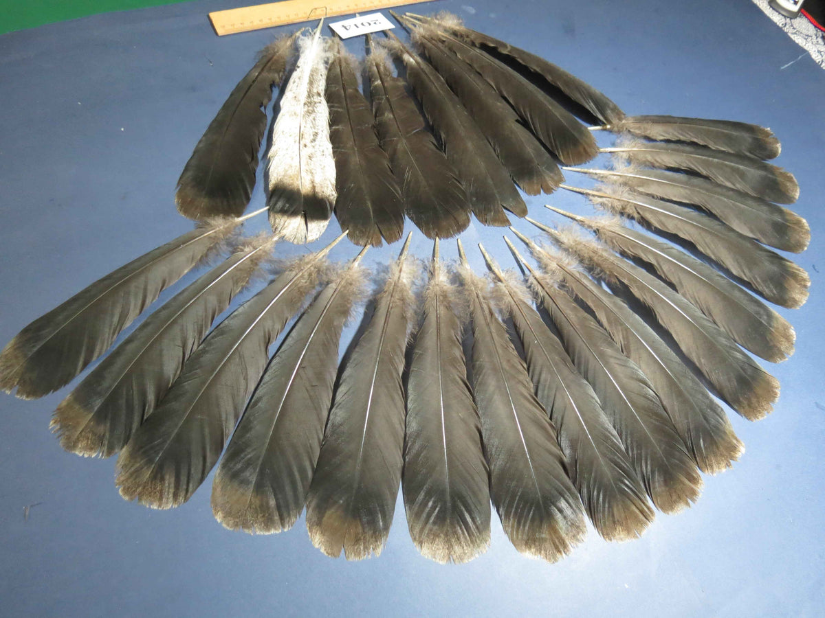 24 Pcs Natural Turkey Tail Feathers, Fly Tying Materials,Turkey Feathers. (2014)