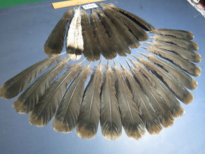 24 Pcs Natural Turkey Tail Feathers, Fly Tying Materials,Turkey Feathers. (2014)
