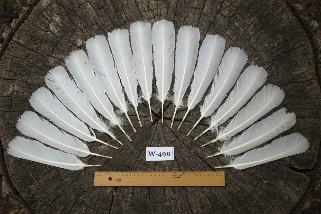 16 Pcs White Turkey Tail Feathers, Fly Tying Materials,Long Feathers. (W-490)