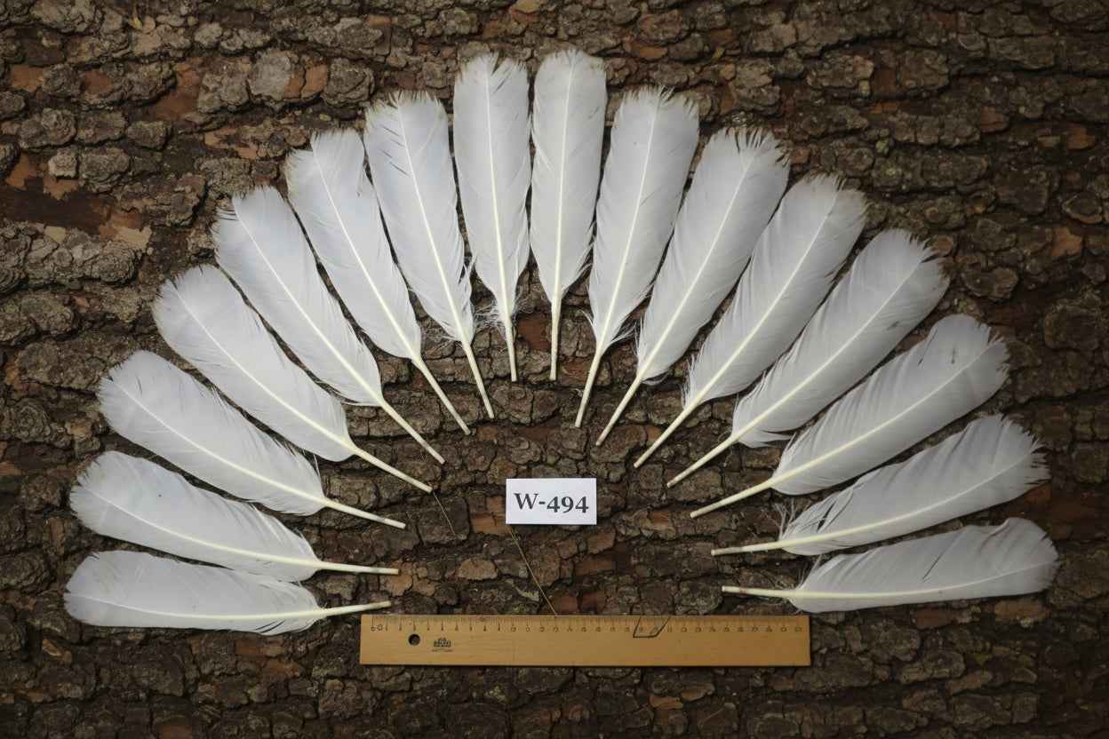 16 Pcs White Turkey Tail Feathers, Fly Tying Materials,Long Feathers. (W-494)