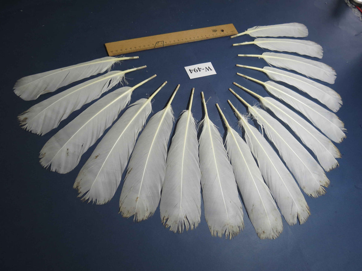 16 Pcs White Turkey Tail Feathers, Fly Tying Materials,Long Feathers. (W-494)