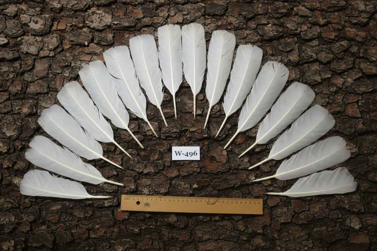 16 Pcs White Turkey Tail Feathers, Fly Tying Materials,Long Feathers. (W-496)