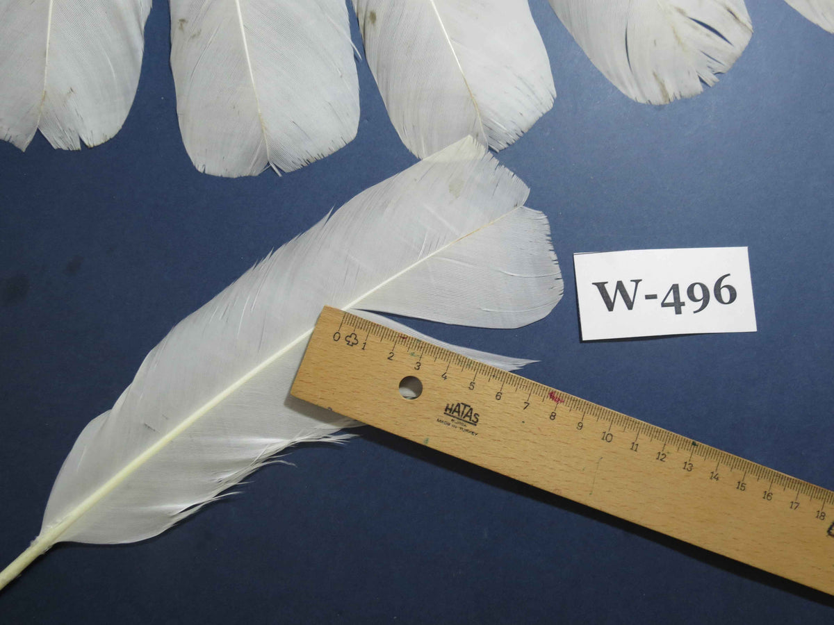 16 Pcs White Turkey Tail Feathers, Fly Tying Materials,Long Feathers. (W-496)