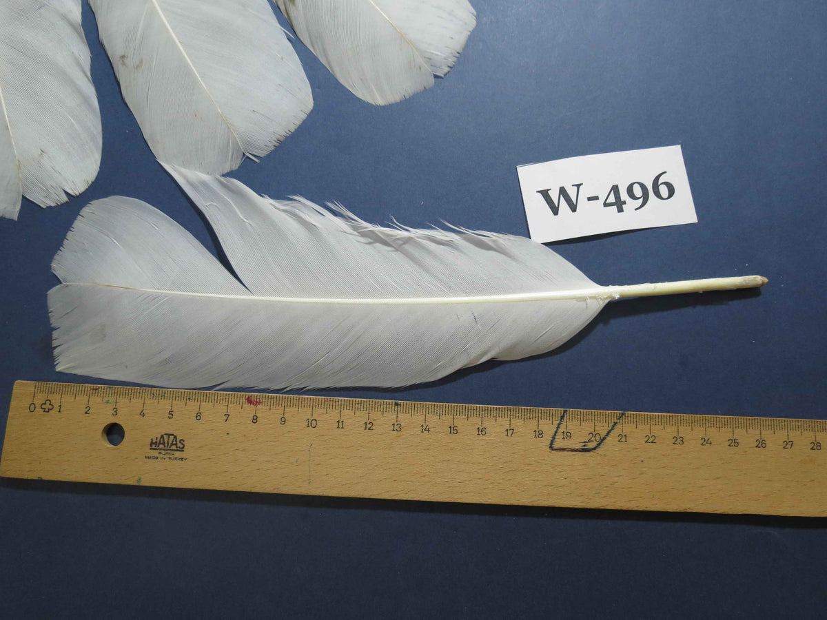 16 Pcs White Turkey Tail Feathers, Fly Tying Materials,Long Feathers. (W-496)