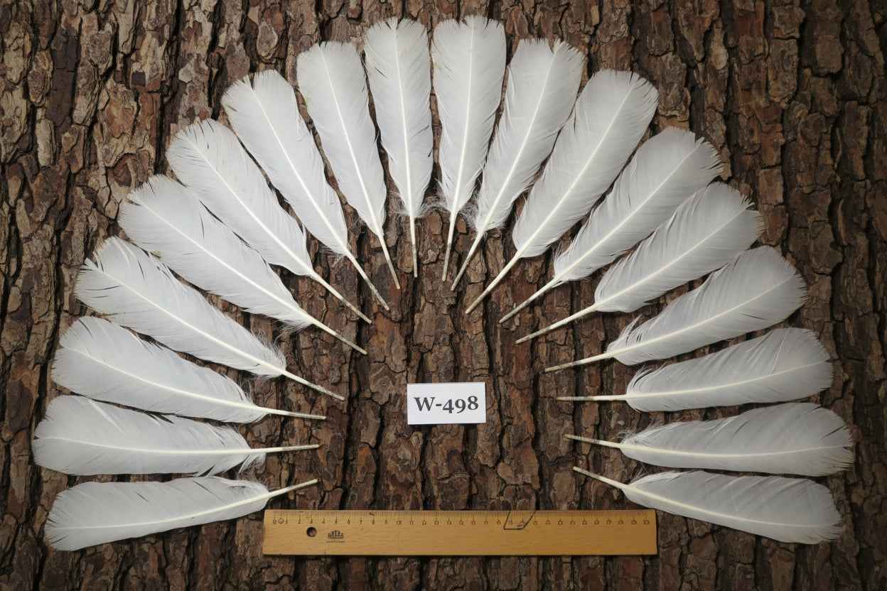 18 Pcs White Turkey Tail Feathers, Fly Tying Materials,Long Feathers. (W-498)