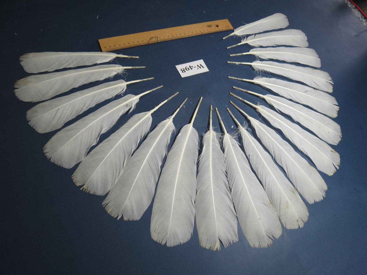 18 Pcs White Turkey Tail Feathers, Fly Tying Materials,Long Feathers. (W-498)