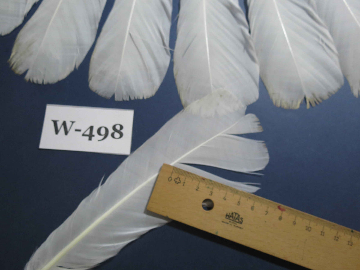 18 Pcs White Turkey Tail Feathers, Fly Tying Materials,Long Feathers. (W-498)