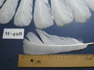 18 Pcs White Turkey Tail Feathers, Fly Tying Materials,Long Feathers. (W-498)