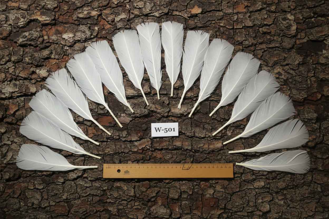 16 Pcs White Turkey Tail Feathers, Fly Tying Materials,Long Feathers. (W-501)
