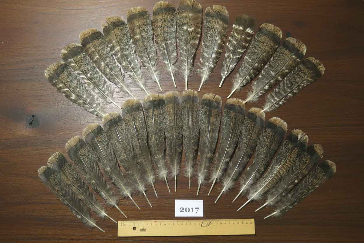 28 Pcs Natural Turkey Tail Feathers, Fly Tying Materials,Turkey Feathers. (2017)
