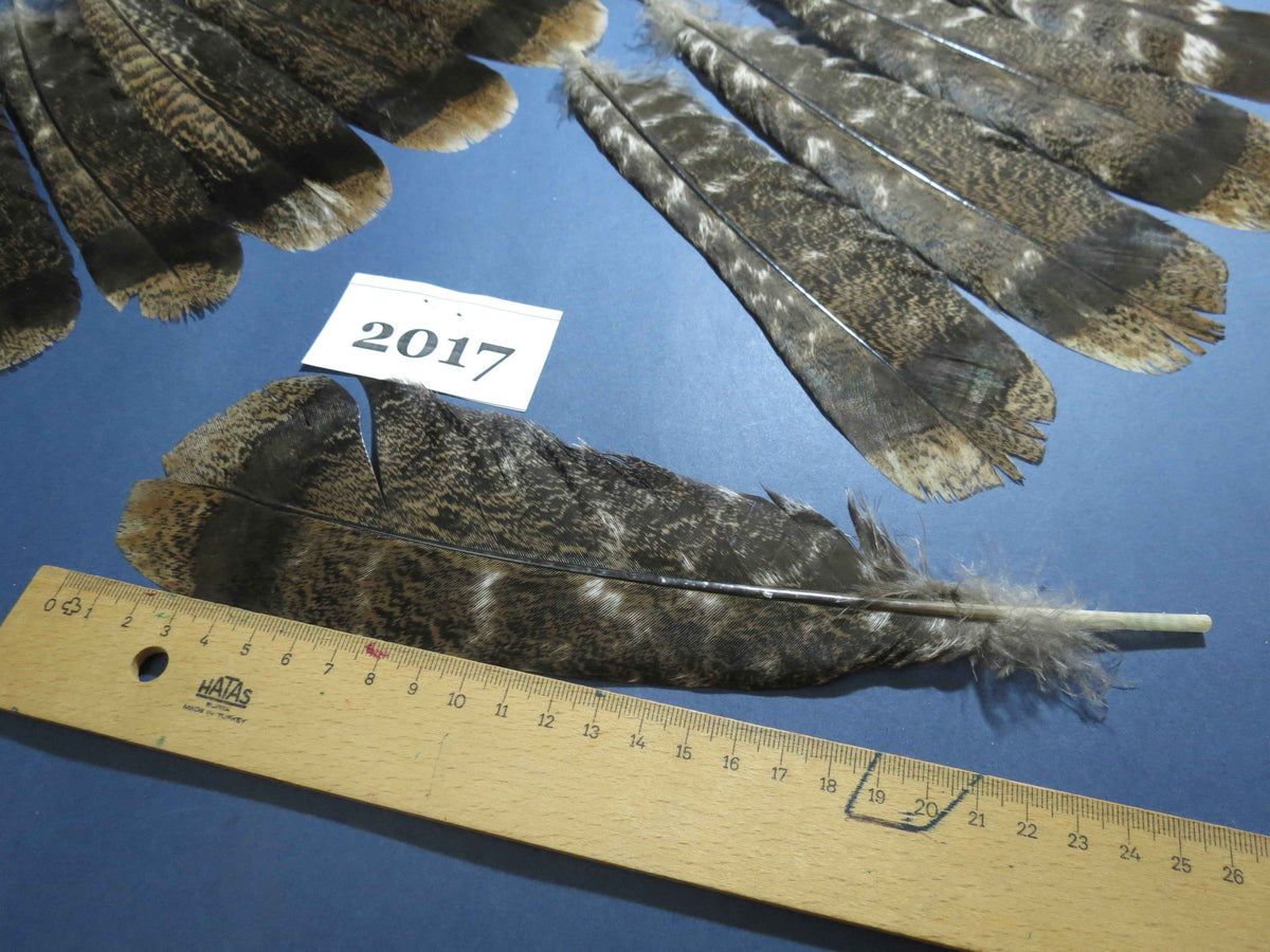 28 Pcs Natural Turkey Tail Feathers, Fly Tying Materials,Turkey Feathers. (2017)