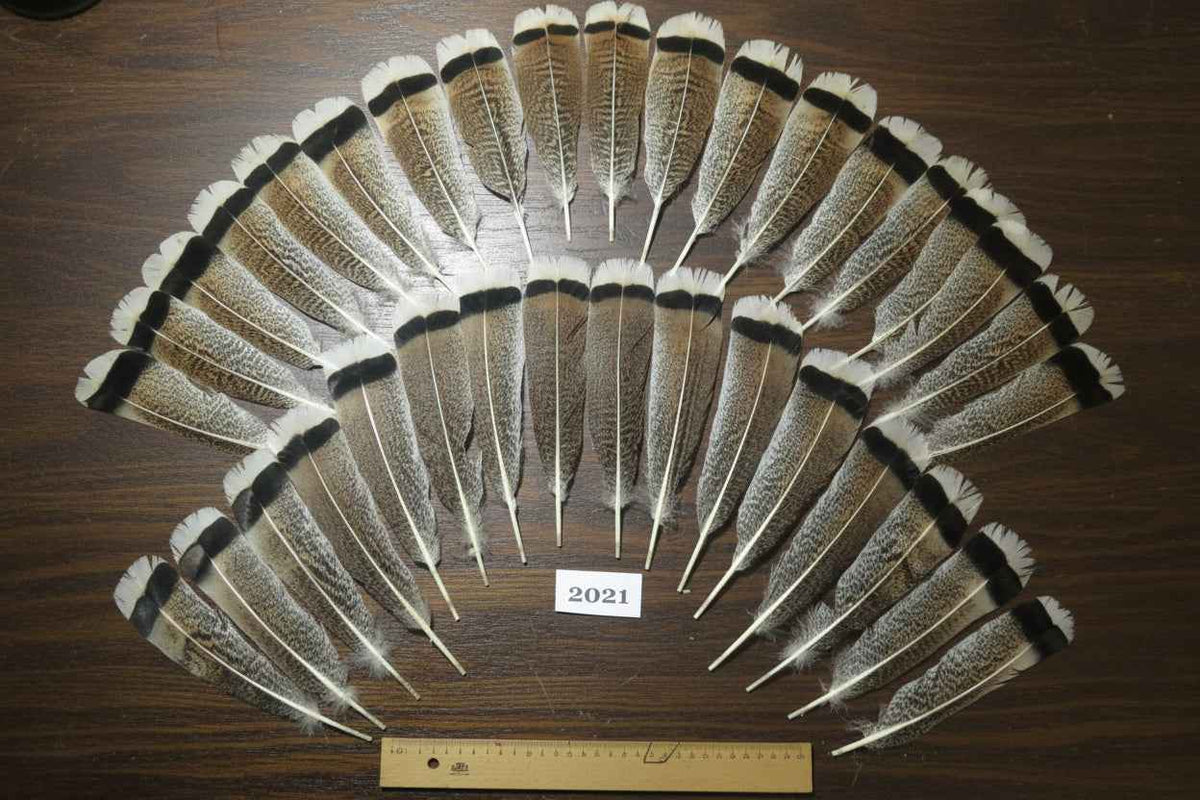 34 Pcs Natural Turkey Tail Feathers, Fly Tying Materials,Turkey Feathers. (2021)