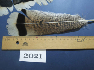 34 Pcs Natural Turkey Tail Feathers, Fly Tying Materials,Turkey Feathers. (2021)