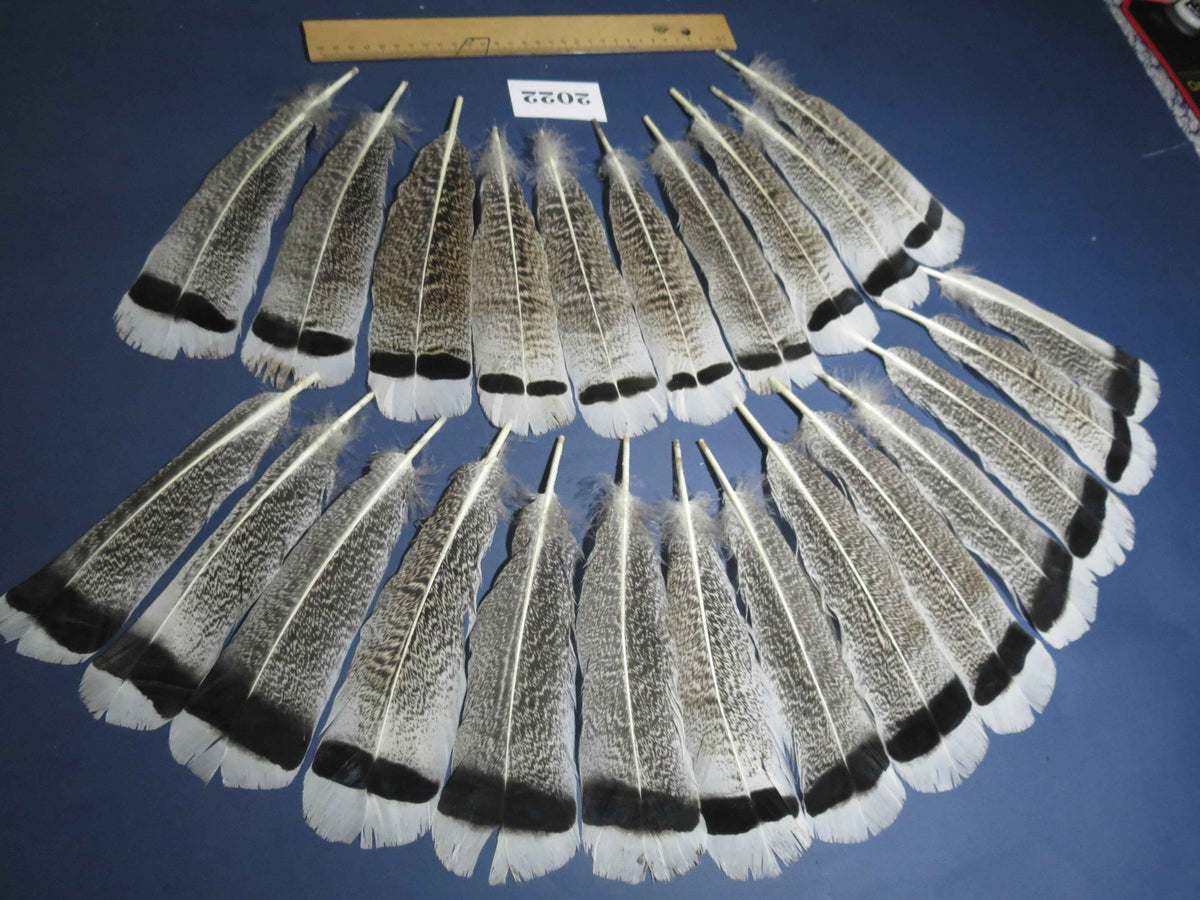 24 Pcs Natural Turkey Tail Feathers, Fly Tying Materials,Turkey Feathers. (2022)