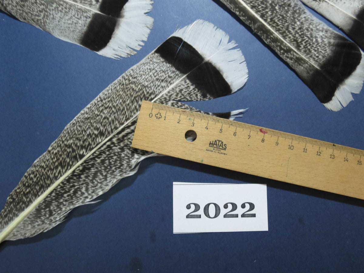 24 Pcs Natural Turkey Tail Feathers, Fly Tying Materials,Turkey Feathers. (2022)