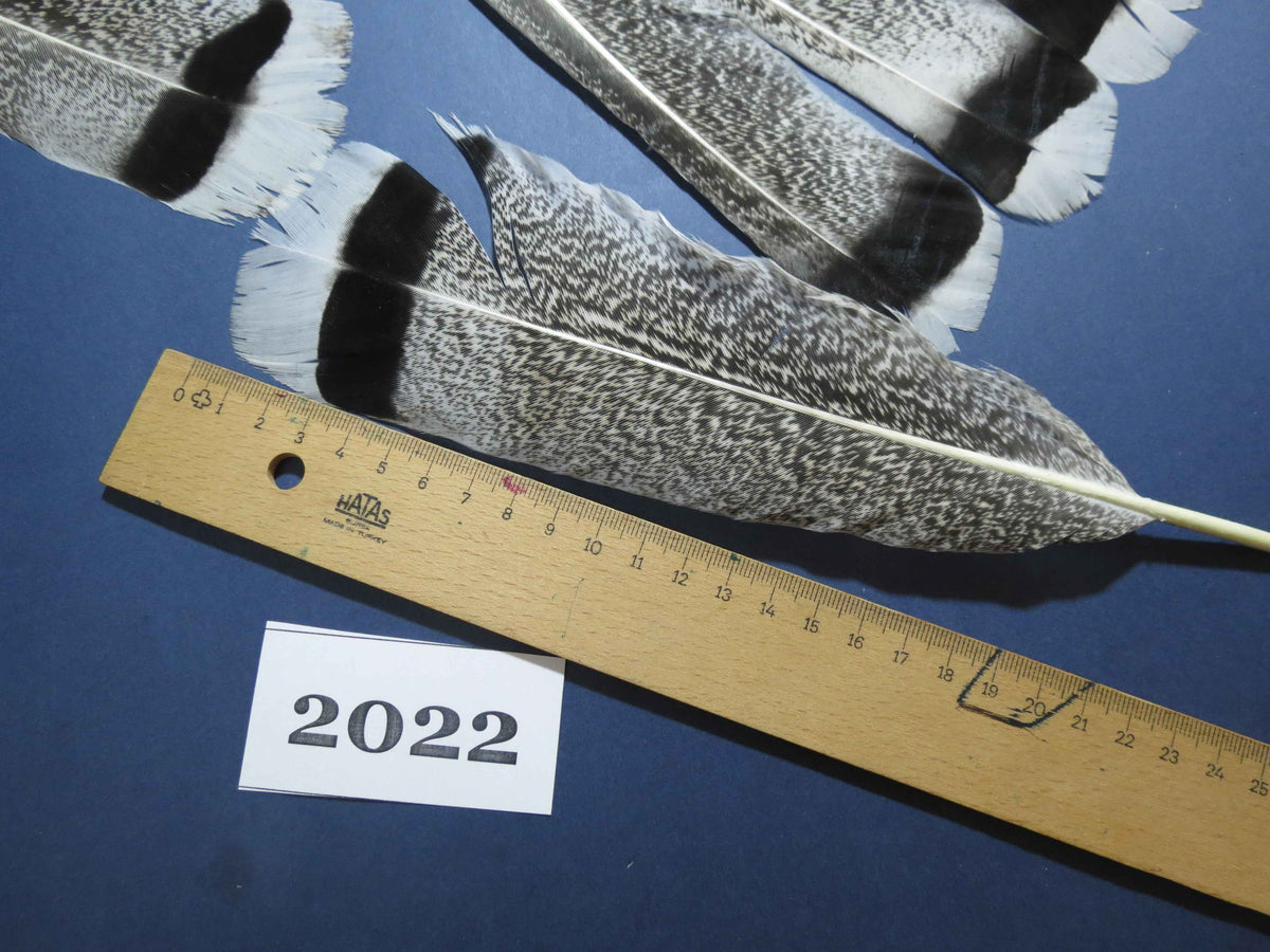 24 Pcs Natural Turkey Tail Feathers, Fly Tying Materials,Turkey Feathers. (2022)