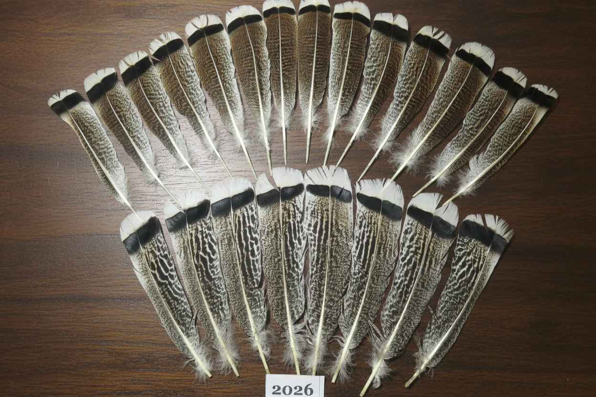 22 Pcs Natural Turkey Tail Feathers, Fly Tying Materials,Turkey Feathers. (2026)