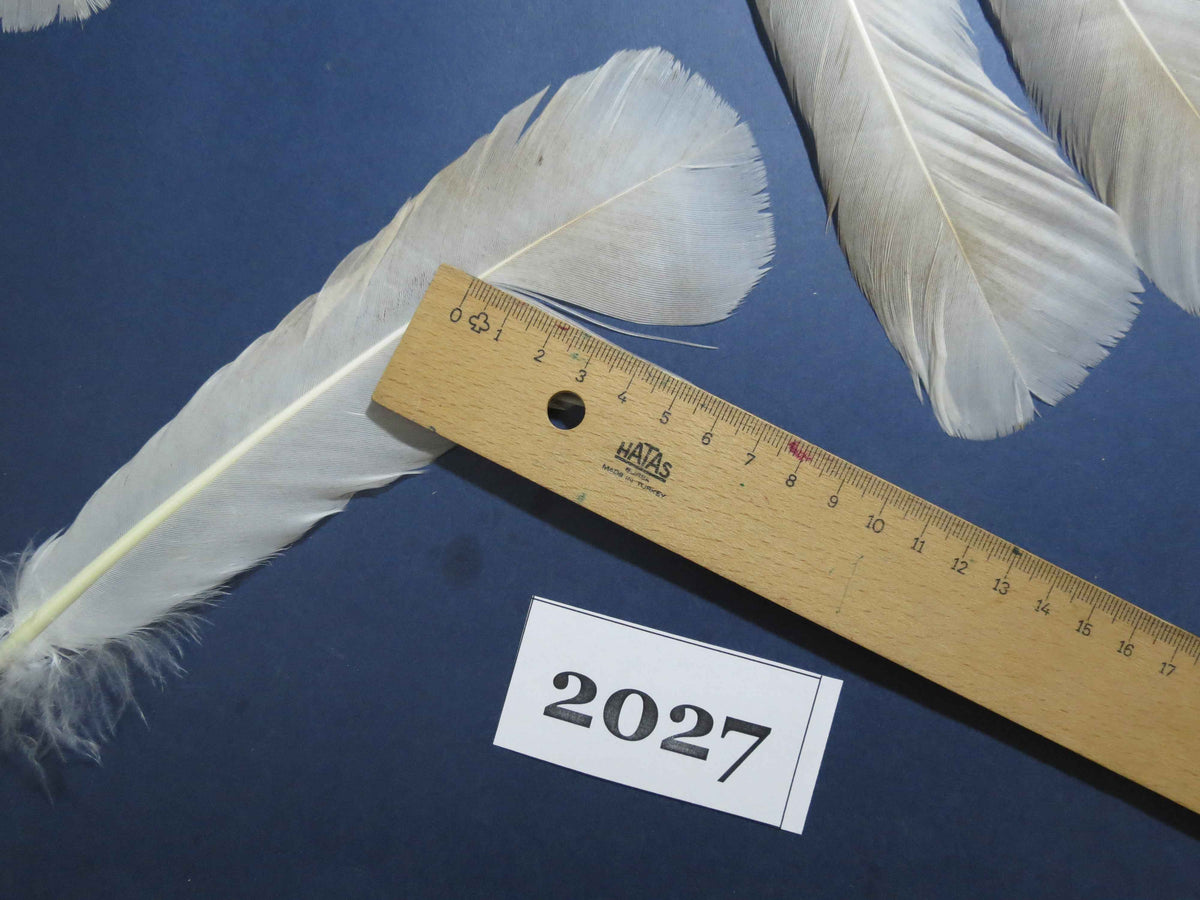 28 Pcs Natural Turkey Tail Feathers, Fly Tying Materials,Turkey Feathers. (2027)