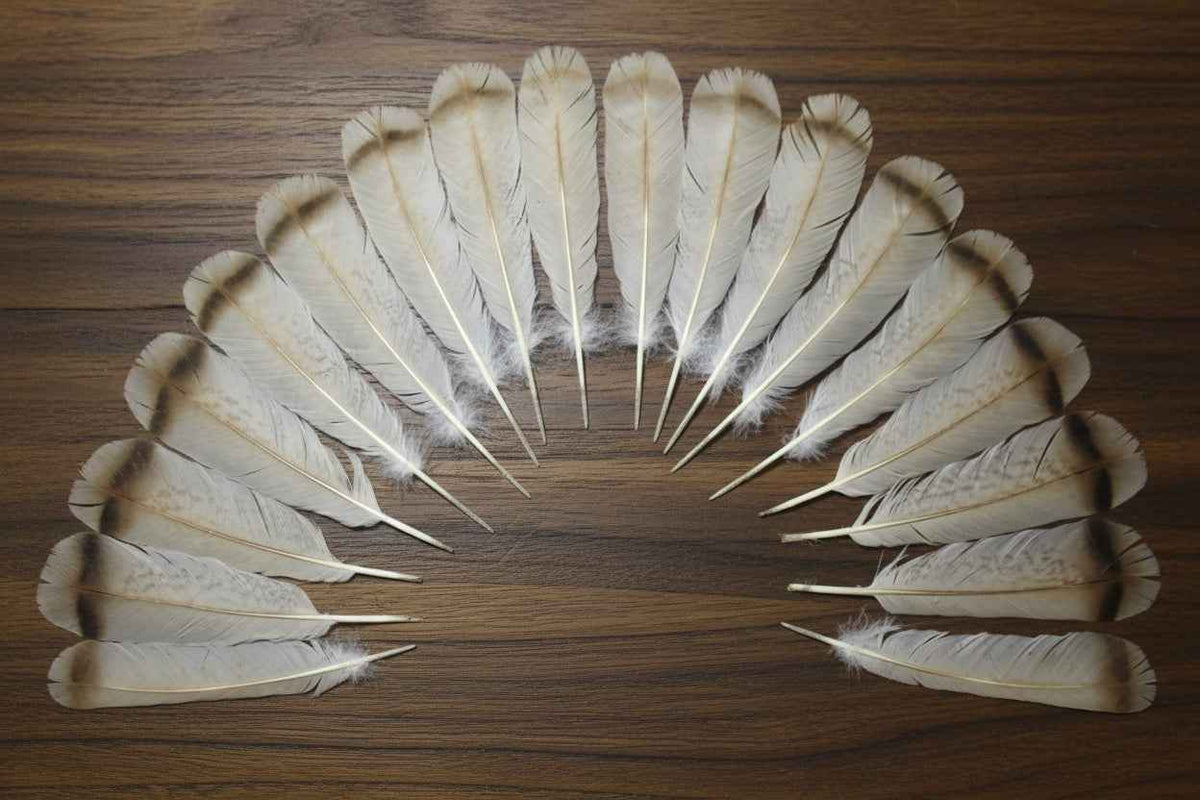 18 Pcs Turkey Tail Feathers, Fly Tying Material,Craft Feathers,Natural Turkey Feathers (2030)
