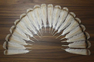 18 Pcs Turkey Tail Feathers, Fly Tying Material,Craft Feathers,Natural Turkey Feathers (2030)