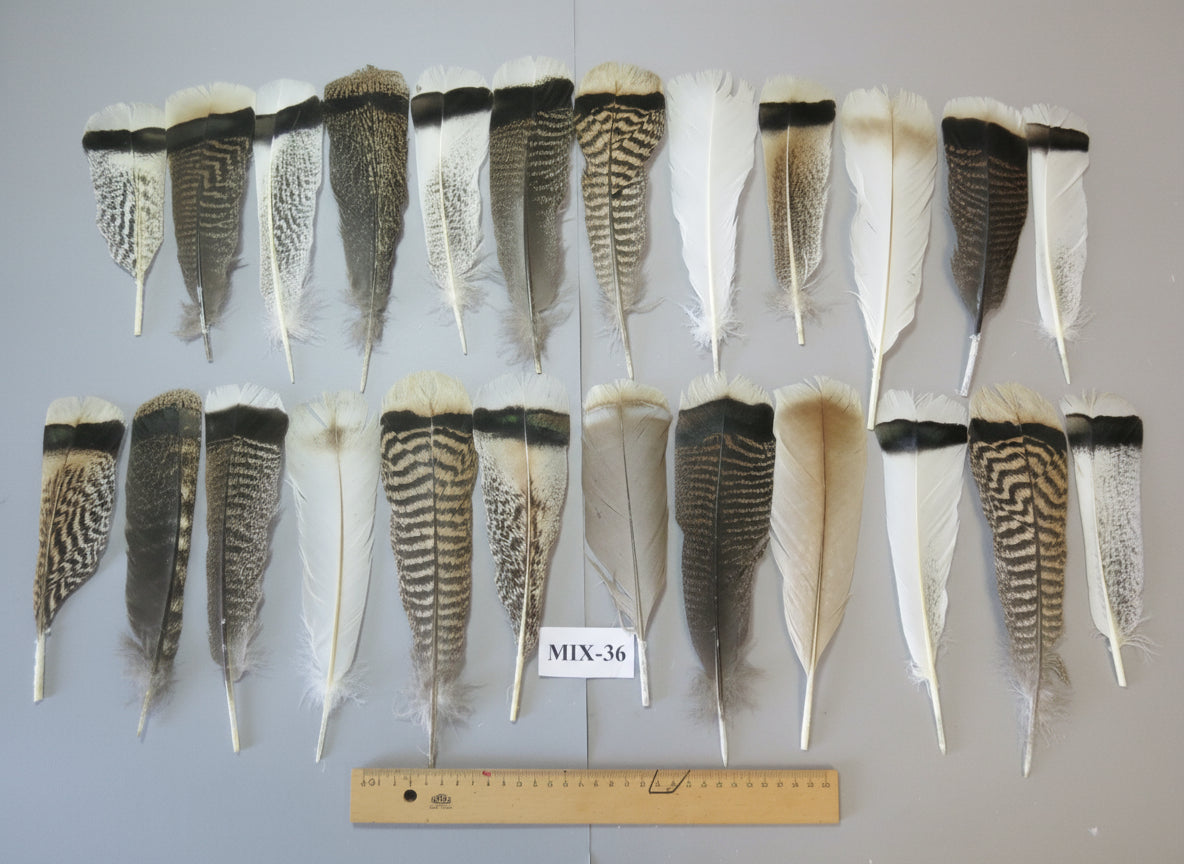 24 Pcs Natural Turkey Tail Feathers, Fly Tying Materials, Genuine Feathers (MIX-36)