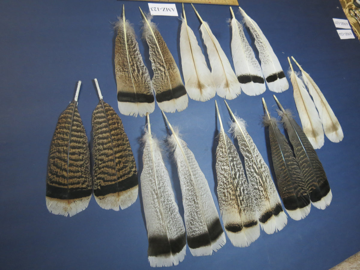 8 Pairs Turkey Feathers, Tail Feathers, Fly Tying Materials, Natural Feathers (AMZ-123)